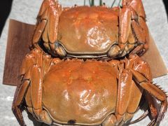 -松鹤精致料理(五一中路店)