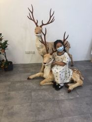 -雅尼·亚米儿童摄影美学馆(汉阳店)