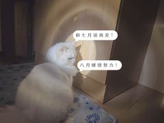 -瑞派新吉太郎宠物医院·重症转诊中心·泌尿道(嘉禾望岗院)