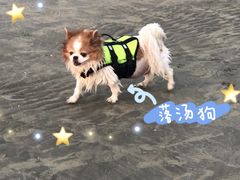 -江山半岛白浪滩景区