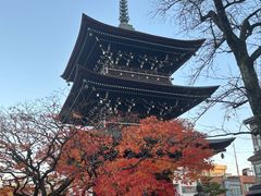 -医王山·飞騨国分寺