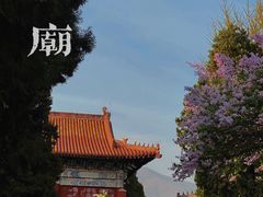 -泰山花样年华景区