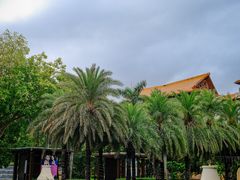 -三亚海棠湾万丽度假酒店