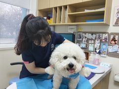 -美联众合动物医院·24h京西诊疗中心