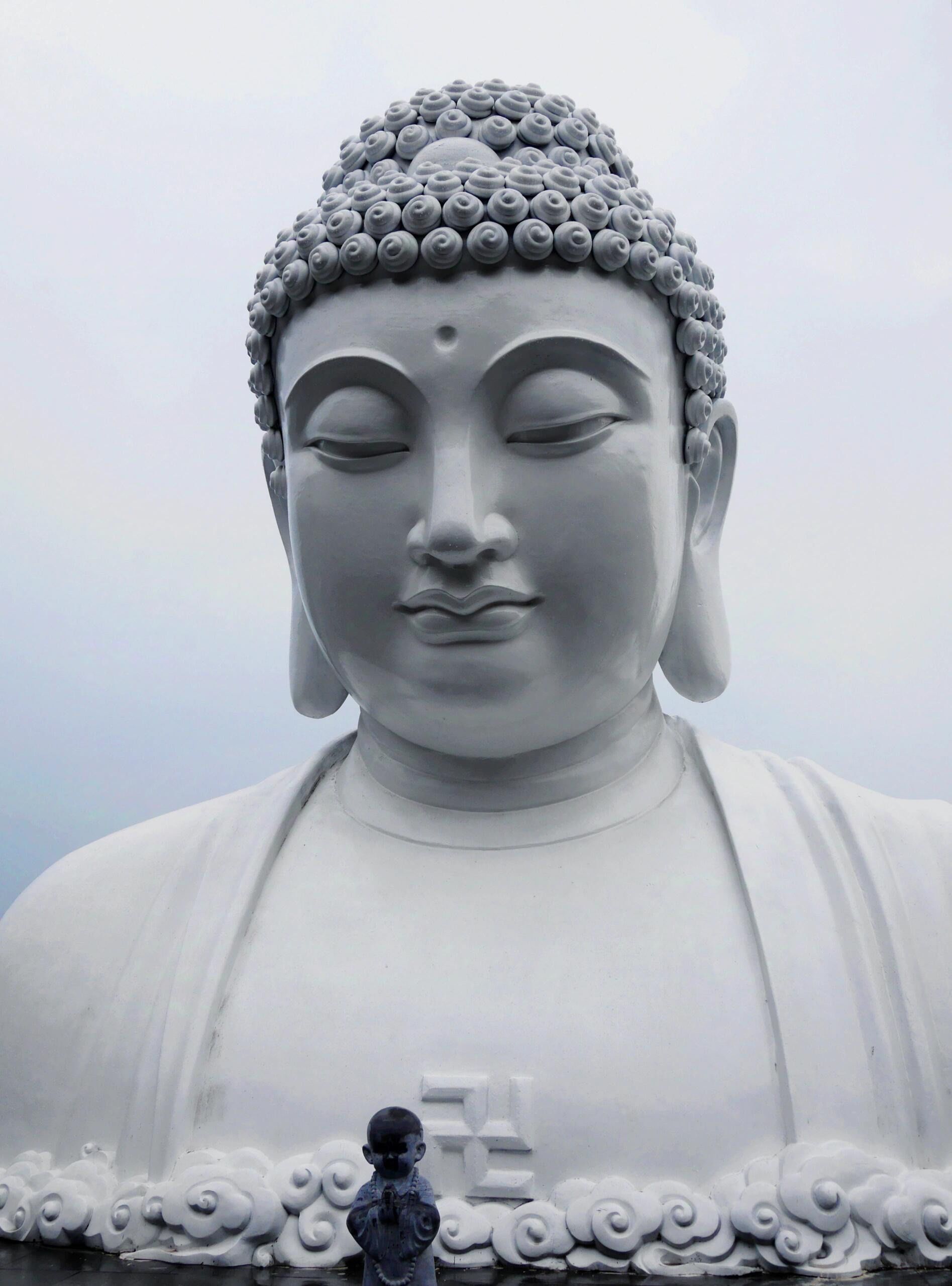 还有谁没来过南京最大半身佛像!巨震撼!