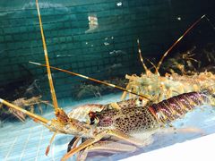 -徐记海鲜·宴会(大唐西市|丰庆店)