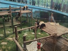 -大连森林动物园