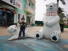 -芜湖新华联大白鲸海洋公园