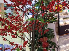 -芸山季·云南山珍菌火锅(宝能环球汇店)