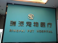 -瑞派宠物医院(搏威敦和院)