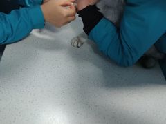 -甄爱宠物医院(疏影路店)