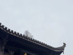 -前童古镇