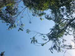 -白鹭湾湿地公园