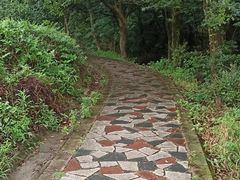 -北仑森林植物园