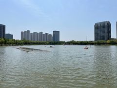 -南翔镇银翔湖公园