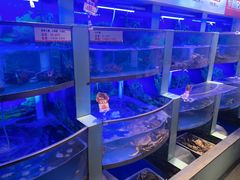 -七欣天香辣蟹火锅(南京建宁路大观天地店)