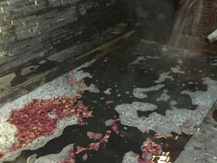 -北京美神宫艺术主题温泉酒店