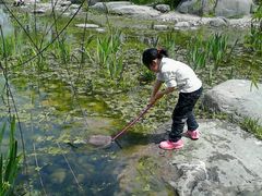 -新江湾城公园