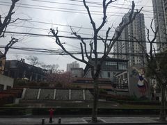 -王家沙点心店(西康路店)