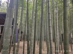 -宝岩生态观光园