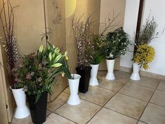 -巴巴新生活·四合院会议·疗愈团建.品牌活动
