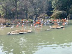-宁波野生动物园