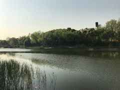 -新江湾城公园