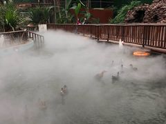 -呀路古热带植物园