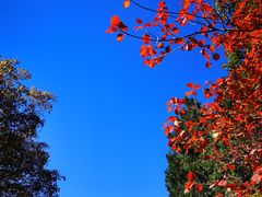 -北京西山国家森林公园