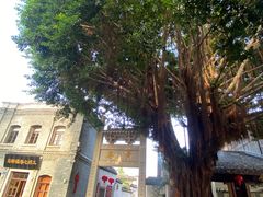 -三坊七巷历史文化街区