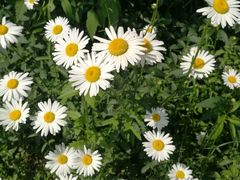 -万达广场(盐城盐都店)