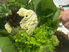 -草原塞蛮羊火锅城(港湾店)