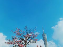 -二沙岛艺术公园