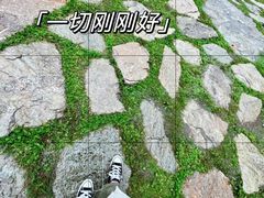 -芦芽山旅游度假区