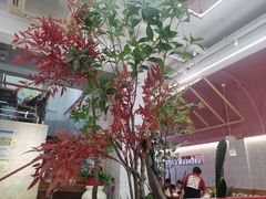 -花漫里日式餐厅(刺桐店)