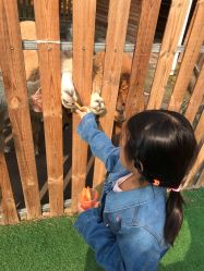 -萌宠亲子动物乐园(槐房万达店)