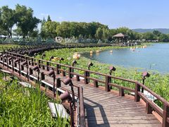 -尚湖风景区
