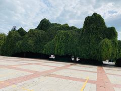 -云南民族村