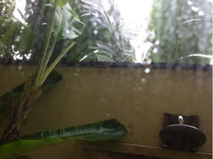 iphone_upload_pic-三亚亚龙湾五号度假别墅酒店