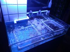 -路边摊小炉子烧烤