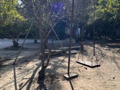 -香竹农庄•传统竹筒饭(十年店)