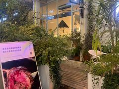 -春树下·树屋花房西餐厅(罍街AS1980店)