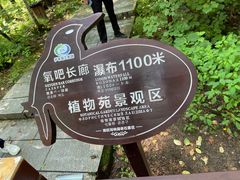 -汤旺河林海奇石景区