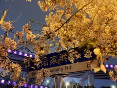 -南浦大桥长途旅游客运站