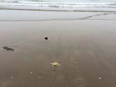 -南澳海滩