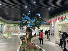 -沂蒙山旅游区龟蒙景区