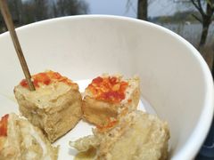 -杭州湾海上花田景区