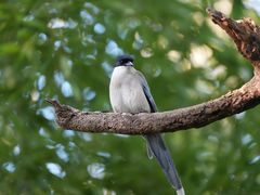 -苏州河梦清园环保主题公园