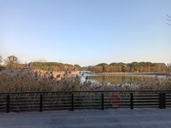 -昆山城市生态森林公园