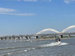 -人民防洪胜利纪念塔